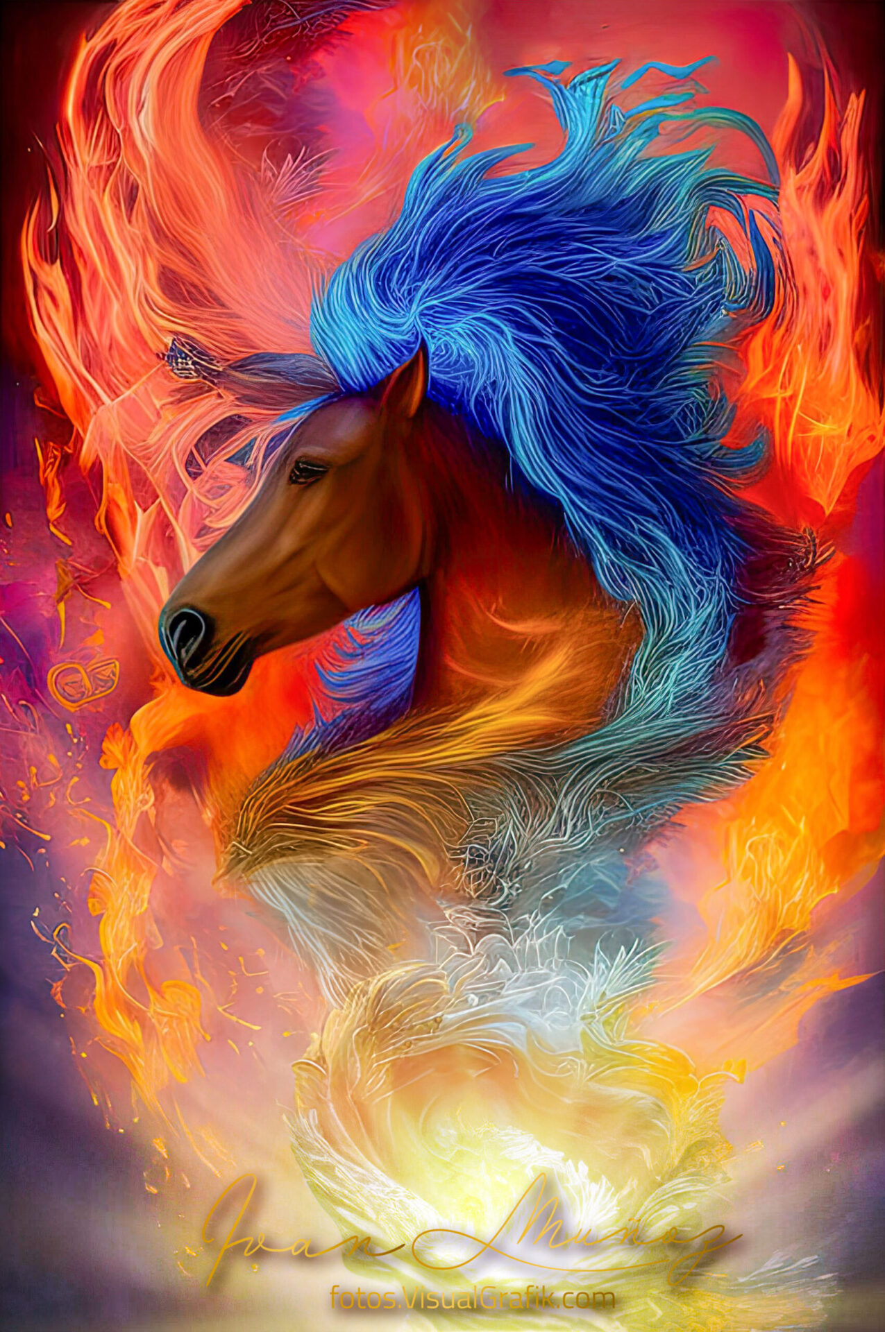 Caballo, Interpretación 01